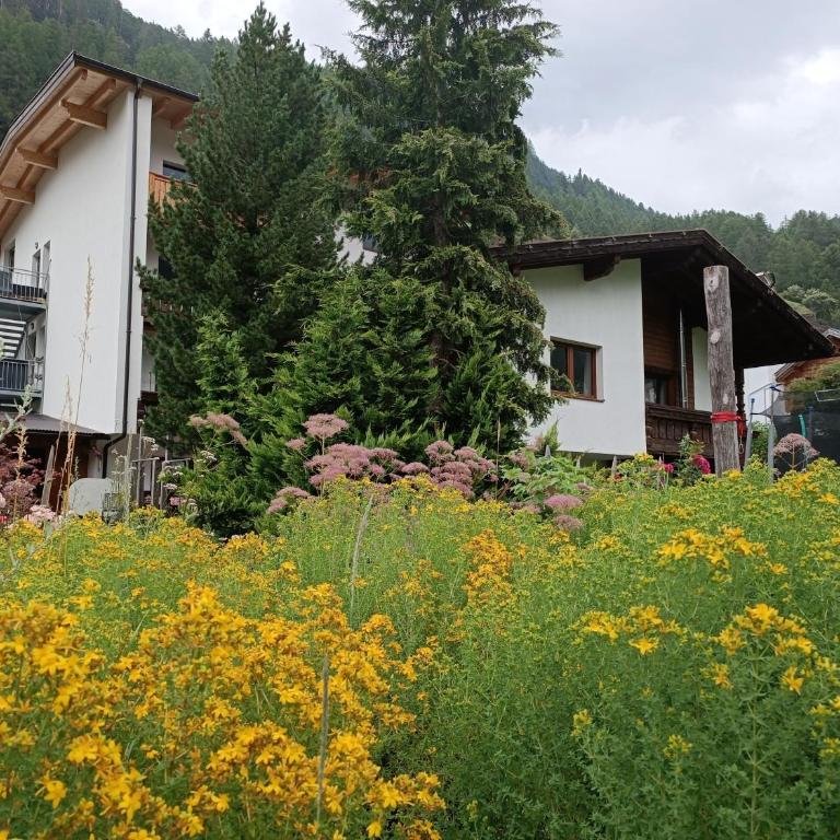 "Michls Hoamat" 6-9 Personen - Apartment - 47