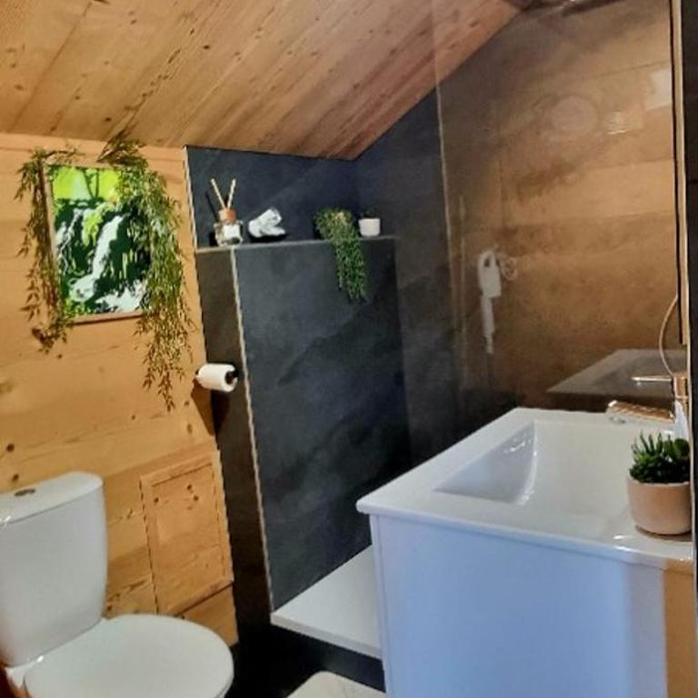 Studio type chalet - Appartement 1 Chambre - 10