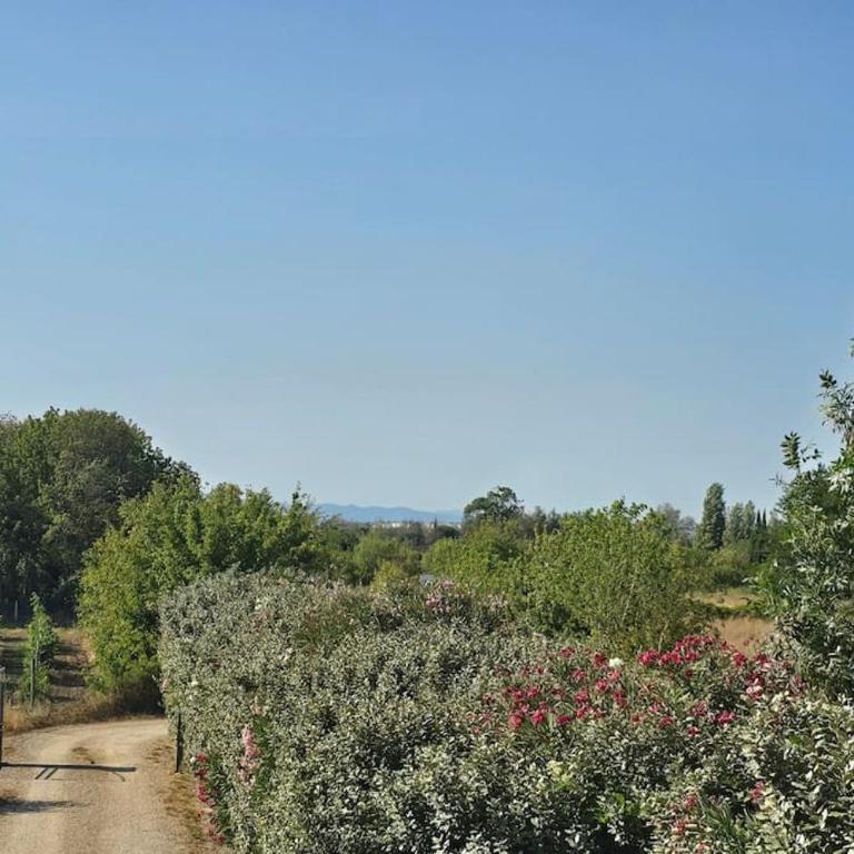 Domaine des Lions - Gîte en duplex confortable pour 4p vue vignes avec terrasse - Casa de 2 dormitorios - 27