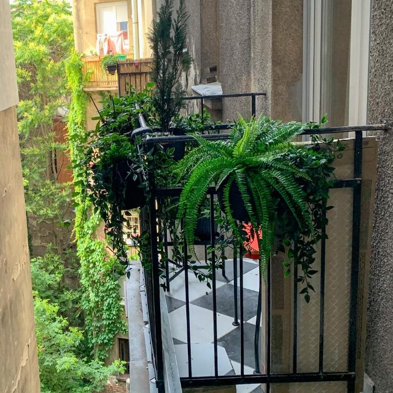 Pop's Apartments - Apartman sa 1 Spavaćom Sobom - 21