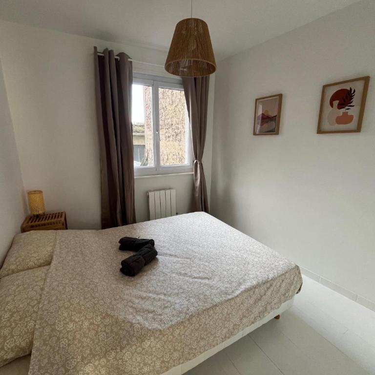 Appartements centre ville - proche Nausicaa, plage et port - One-Bedroom Apartment - 2