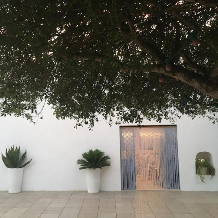 Lamia Fulmine - Casa Vacanze - 18