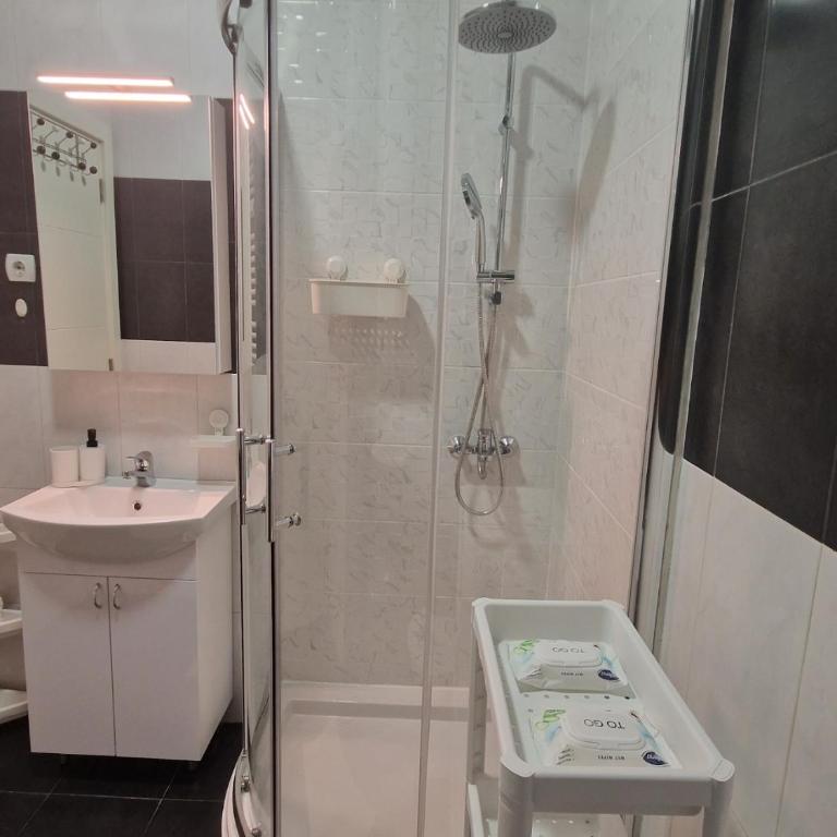 EMILY LUX Apartment Belgrade, Center - Apartman sa 1 Spavaćom Sobom - 18
