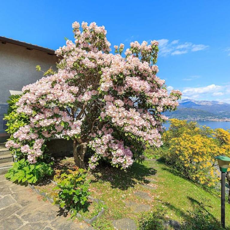 Lovely home with amazing lake views! - Casa Laura - Casa con 3 Camere da Letto - 36