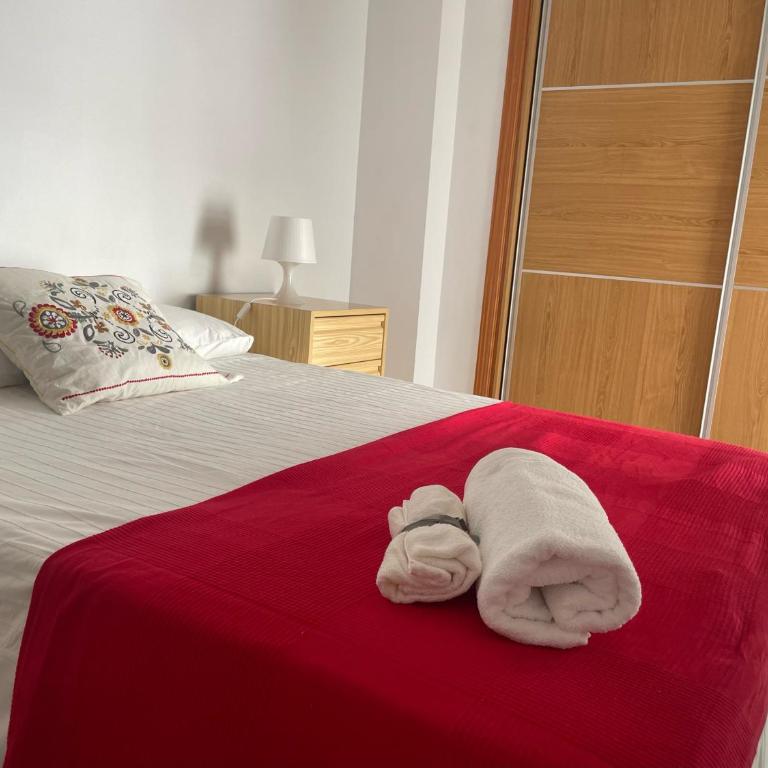 Malaga Home Center - Apartamento de 2 dormitorios - 13