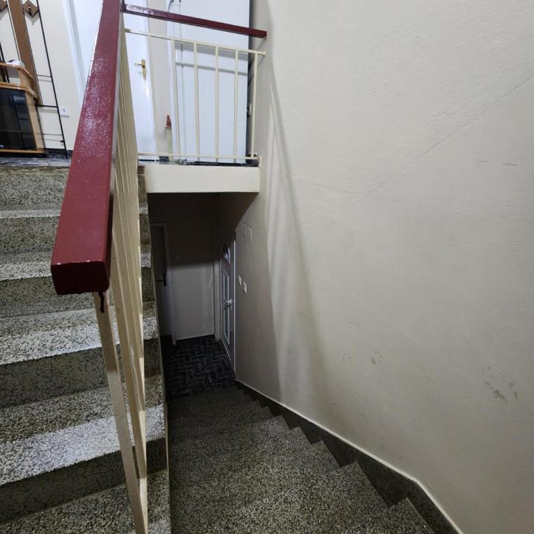 Bozovic Apartments I - Komfor Trokrevetna Soba - 5