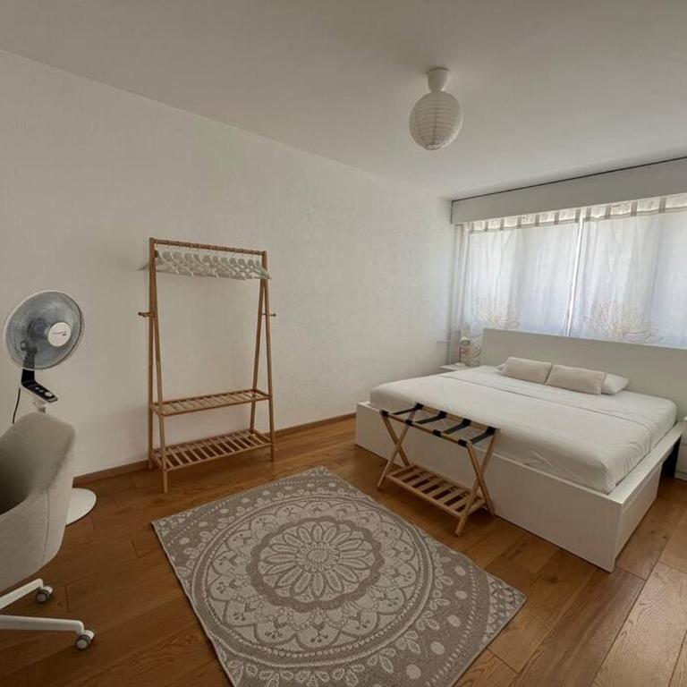 85m2 au centre-ville à 2 pas du Jet d'eau - Appartement 2 Chambres - 15
