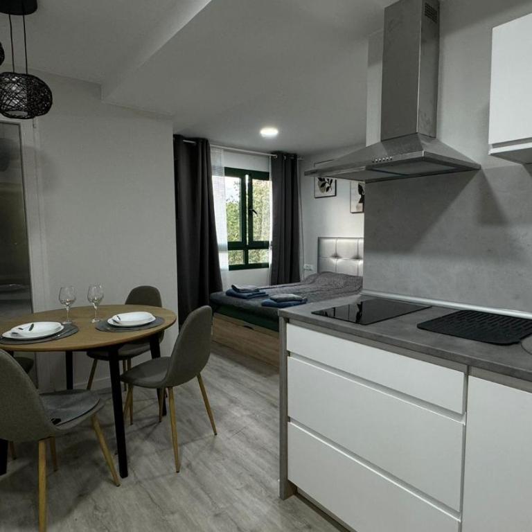 Versus Apartments near City of Arts III - Estudio - 1