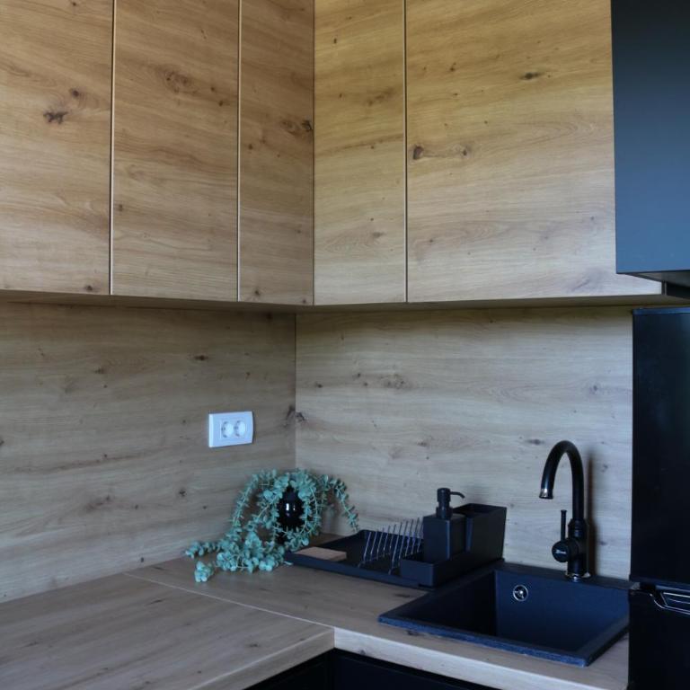 Aria Apartman Sokobanja - One-Bedroom Apartment - 16