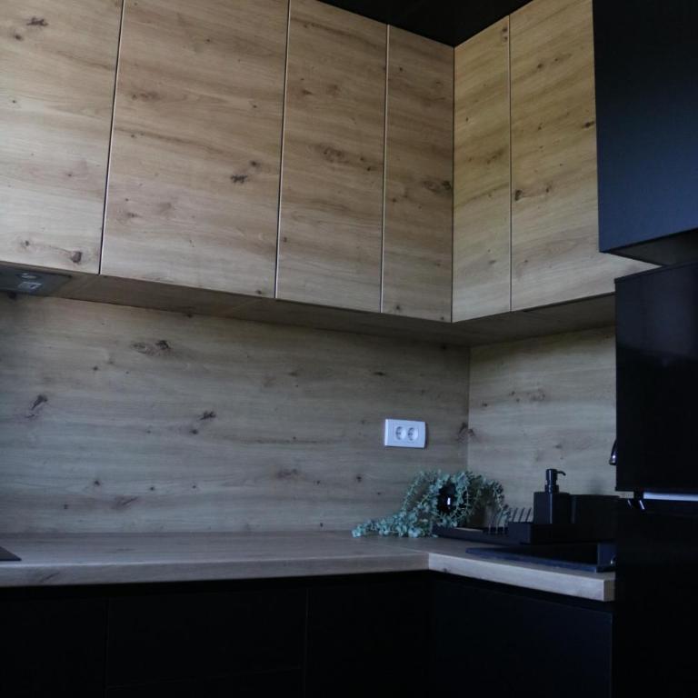 Aria Apartman Sokobanja - One-Bedroom Apartment - 17