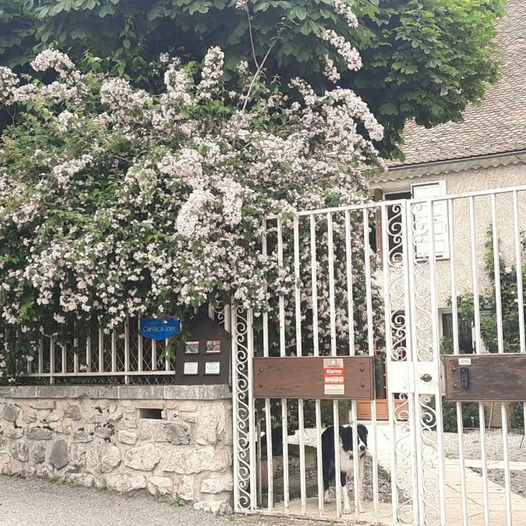 Les Vagabonds du Mont - Chambre Double ou Lits Jumeaux Standard - Vue sur Jardin - 18