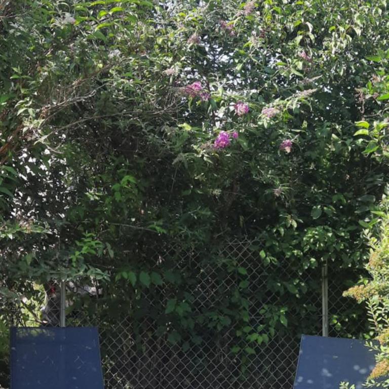 Les Vagabonds du Mont - Chambre Double ou Lits Jumeaux Standard - Vue sur Jardin - 23