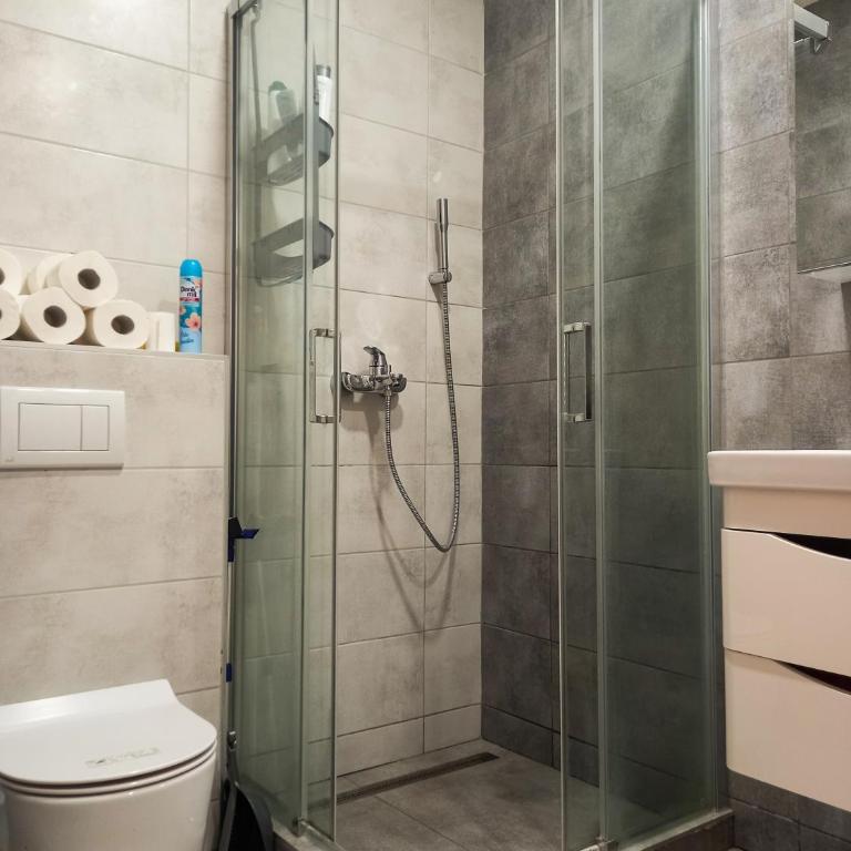Plava orhideja apartman - Apartman sa 1 Spavaćom Sobom - 33