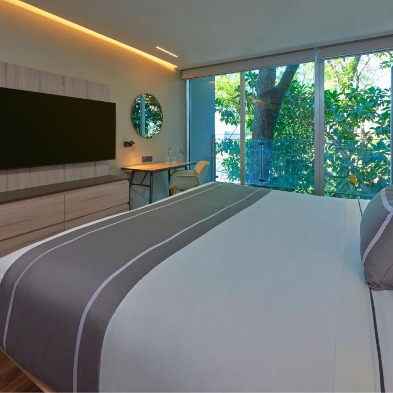 City Express Plus by Marriott Guadalajara Providencia - Suite de 1 dormitorio con sofá cama - Cama extragrande - 3