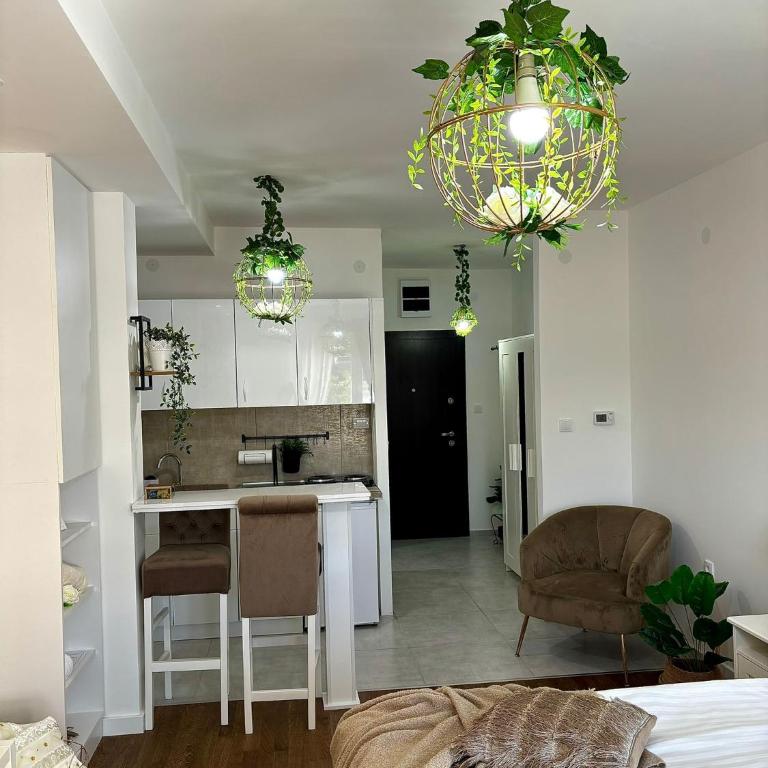 Apartman Vanila Lux Kragujevac - One-Bedroom Apartment - 9