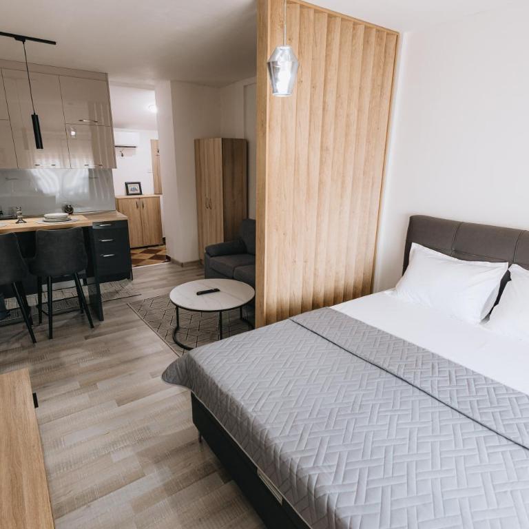 Apartments Podgorička Vila - Klasičan Apartman - 5