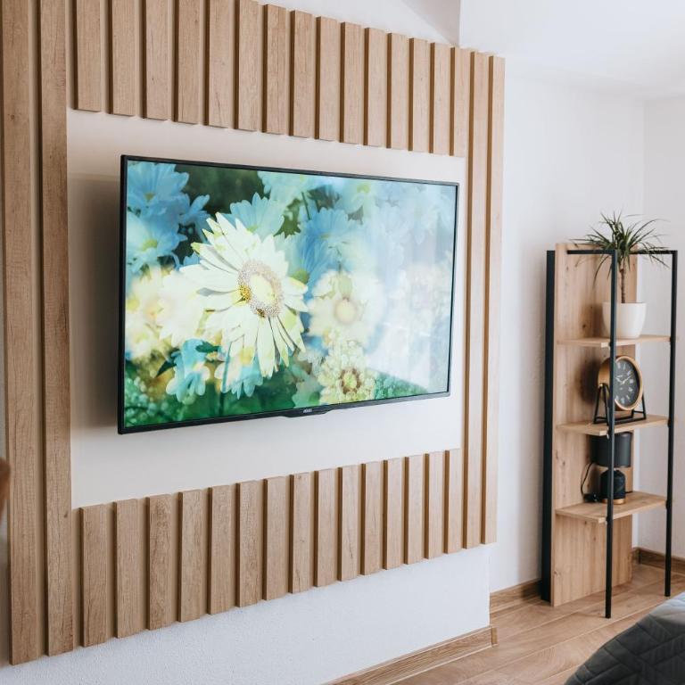 Apartments Podgorička Vila - Klasičan Apartman - 3