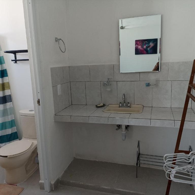 El refugió del colibrí - One-Bedroom Apartment - 2