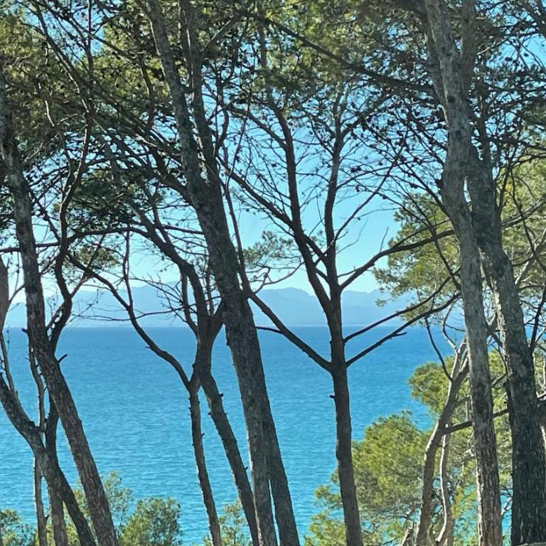 Cap Salou Mar - Apartamento de 1 dormitorio - 3