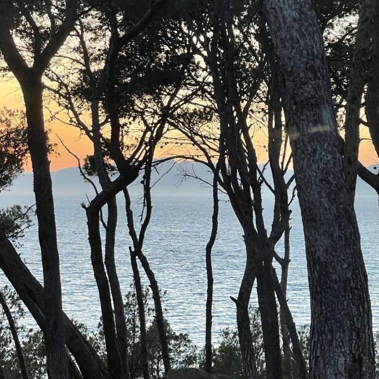 Cap Salou Mar - Apartamento de 1 dormitorio - 23