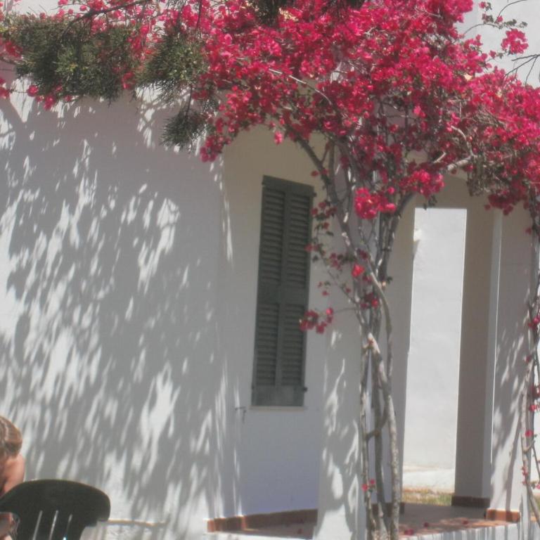 Apartamentos Las Brisas I & II - Apartamento de 2 dormitorios (4 adultos + 2 niños) - 29
