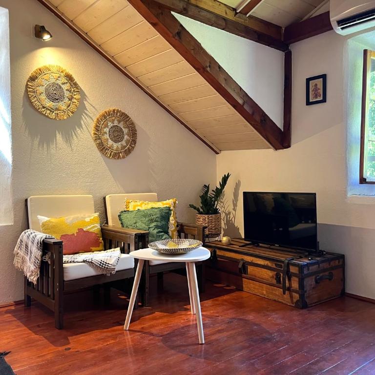 HealthyStudio512 Apartments - Double Room with Mountain View - 15