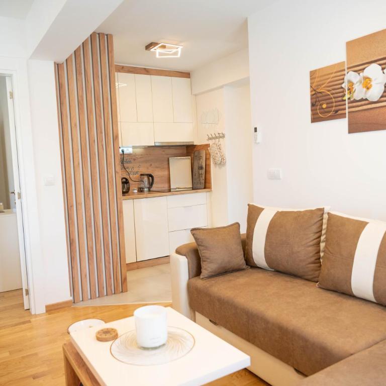 White Orchid Apartment Center Vrnjačka Banja - Apartman sa Terasom - 16