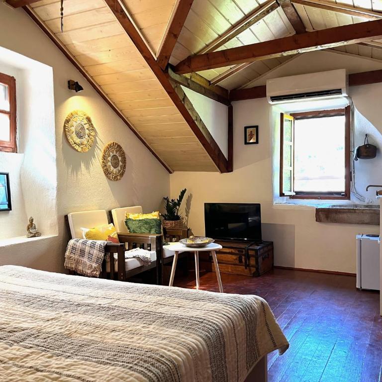 HealthyStudio512 Apartments - Double Room with Mountain View - 4