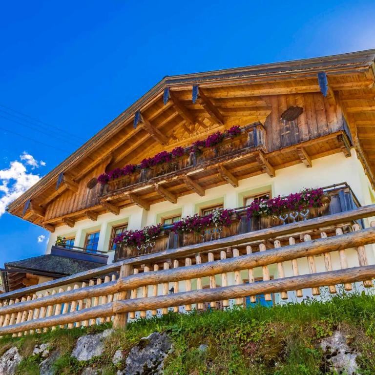 Oberdachebenhof Dienten - Appartamento con 2 Camere da Letto e Balcone - 1
