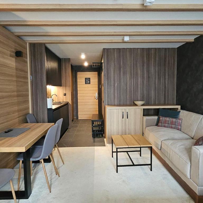 Woodside apartments Kopaonik with garage - Deluxe Studio - 4