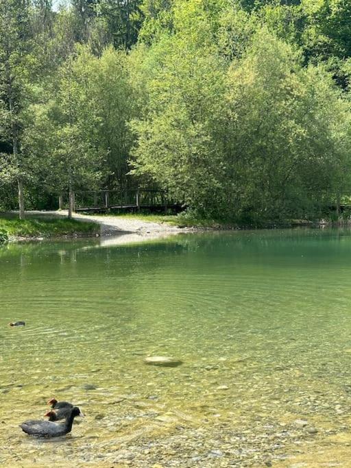 Cocon à la campagne,proche Annecy - Appartement 1 Chambre - 23