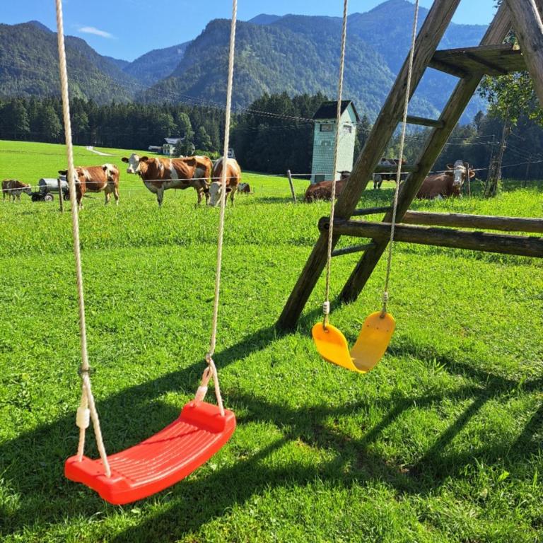 Ferienhof Brunbacher Wolfgangsee - Chalet - 27