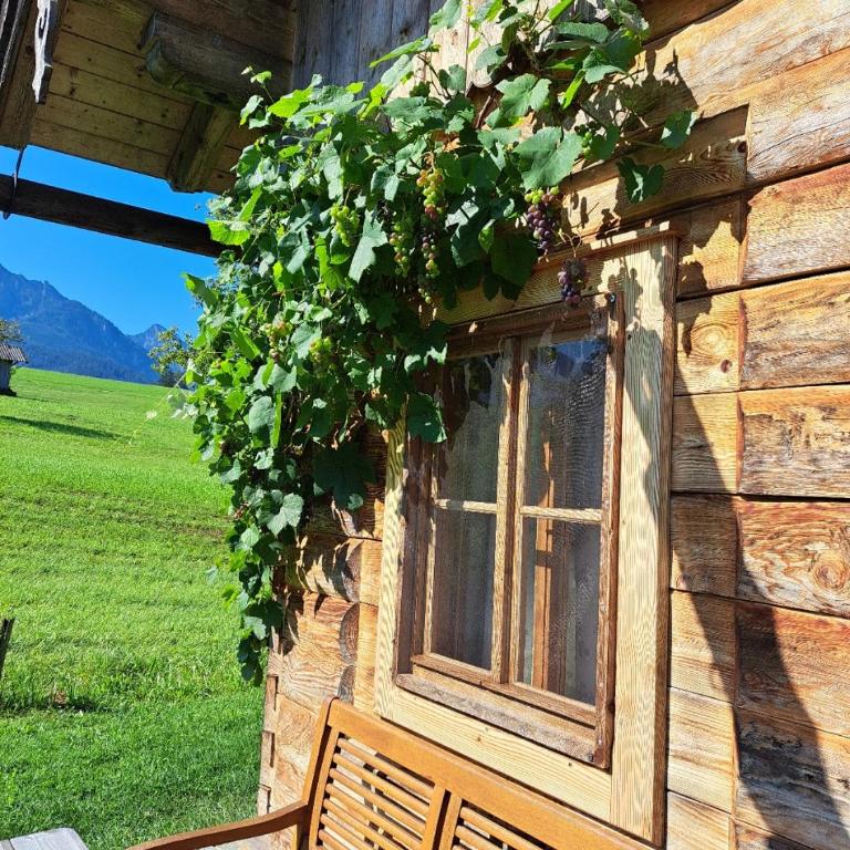 Ferienhof Brunbacher Wolfgangsee - Chalet - 28