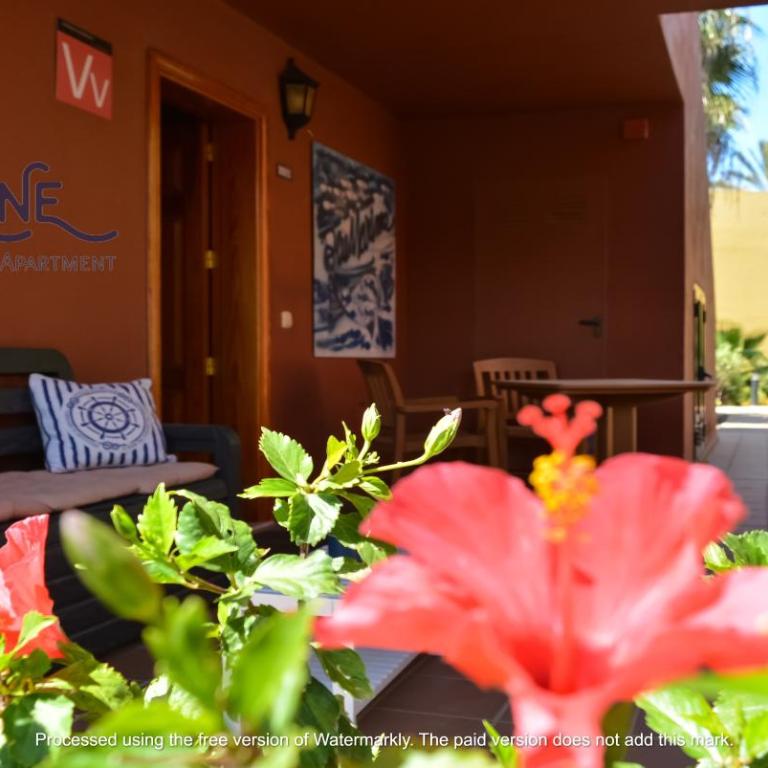 Tamarindo Blumarine - pool & wifi free 4 persons - One-Bedroom Apartment - 32