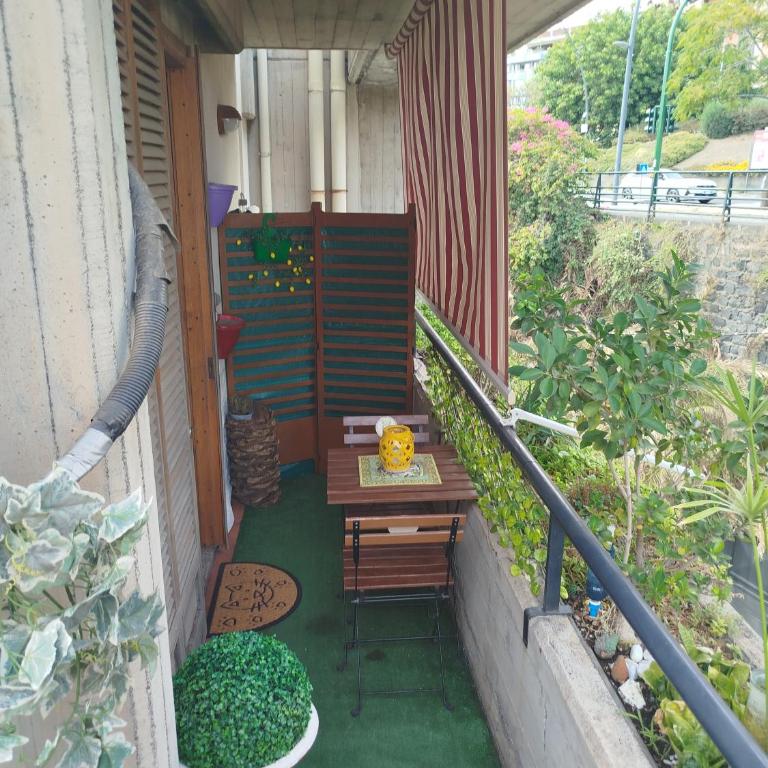 Casalicuti - One-Bedroom House - 59
