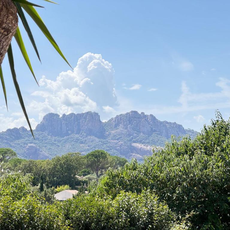 Gîte des Figuiers - parking, piscine, jacuzzi - Studio - 11