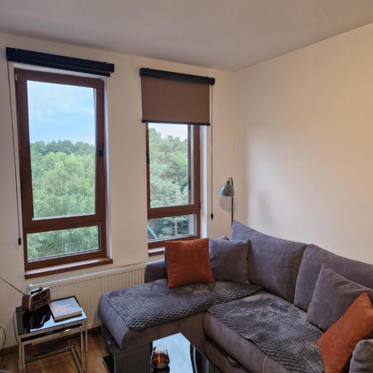 Divcinova - Apartman Gorski - Apartman sa 1 Spavaćom Sobom - 2