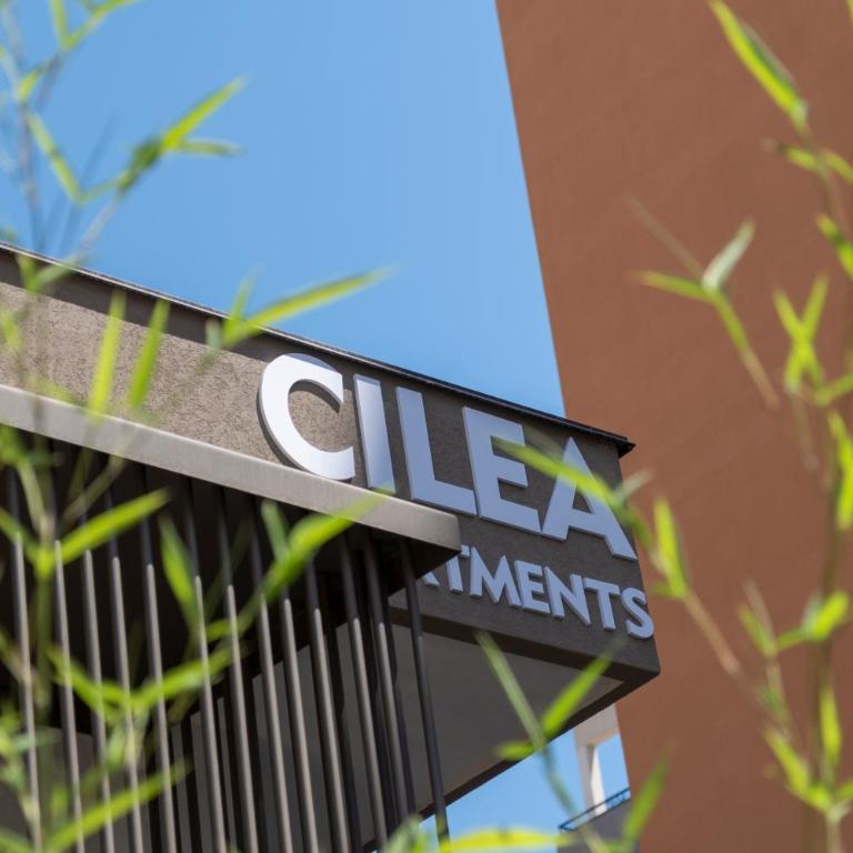 Cilea Apartments - One-Bedroom Apartment - 1
