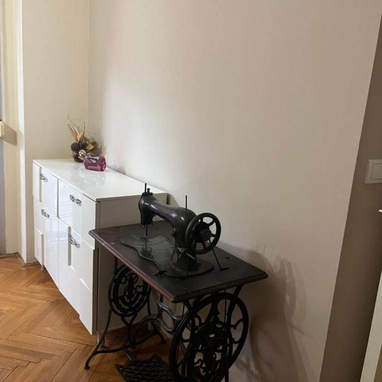 Sofia - Deluks Apartman sa 2 Spavaće Sobe i Balkonom - 9