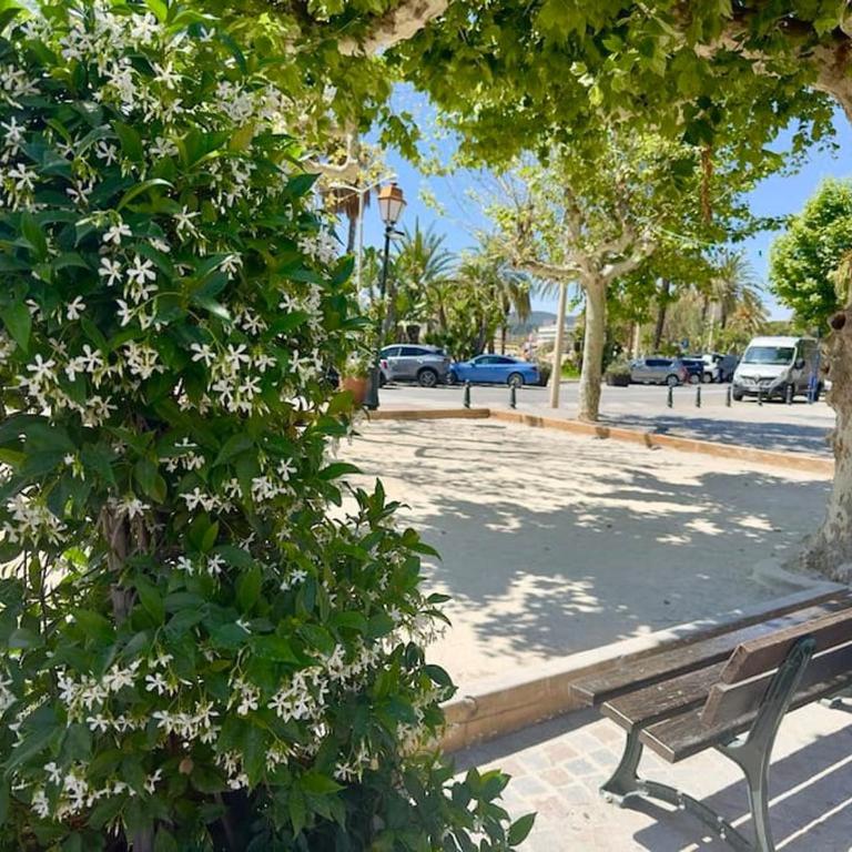 Appartement T2 ensoleillé - Apartamento de 1 dormitorio - 26