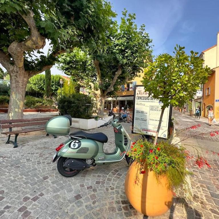 Appartement T2 ensoleillé - Apartamento de 1 dormitorio - 34