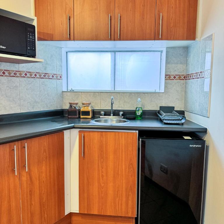 Loft en el centro de San Isidro Pet Friendly - One-Bedroom Apartment - 9