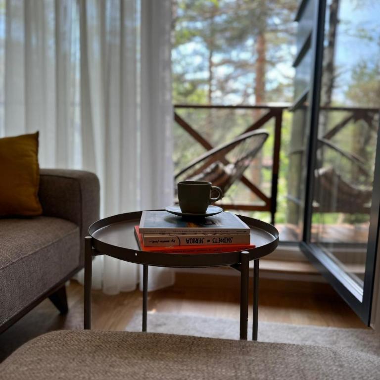 Apartman Green Divčigora - Apartman sa 2 Spavaće Sobe - 4