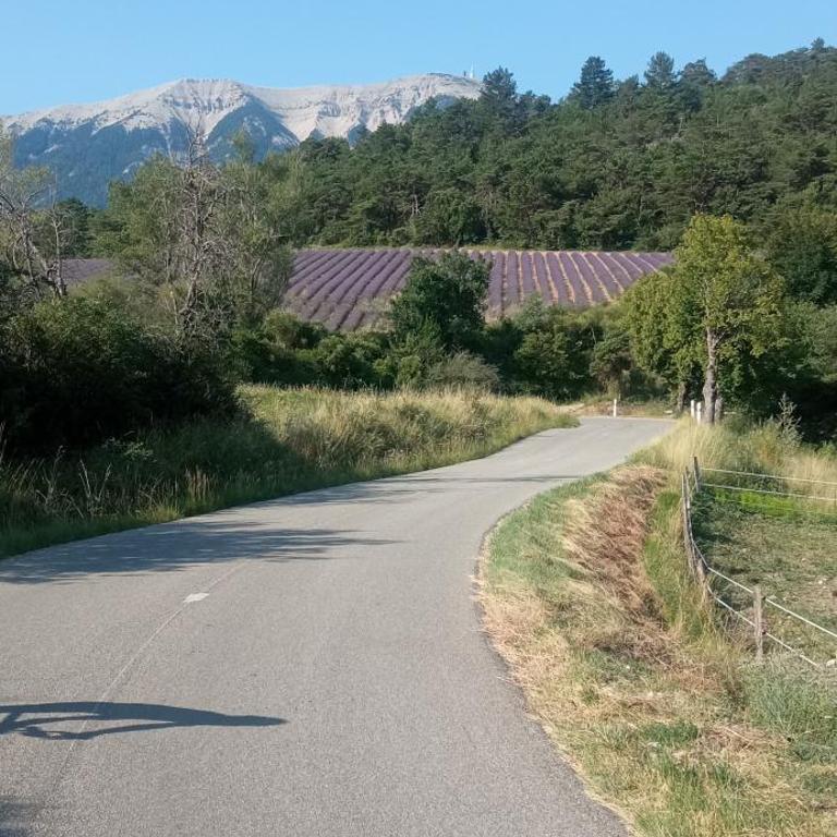Le logis du Ventoux - Haus mit 1 Schlafzimmer - 17