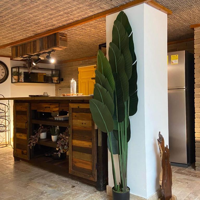 Luxury House with Sleek Terrace in Cartagena - Apartamento - 15