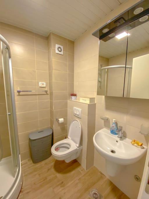 Stan Na Dan - City Kej - Apartman sa 1 Spavaćom Sobom - 8