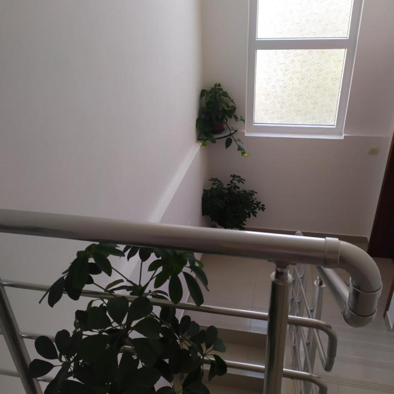 Family House Milic in Ulcinj - Standard Apartment - 43