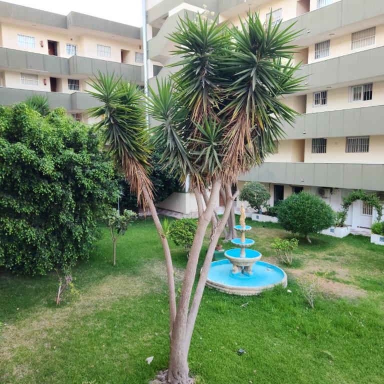 Seaview Terrace, Beachfront Bliss & Towncenter - Terraza con vistas al mar, a pie de playa y céntrico - Two-Bedroom Apartment - 19