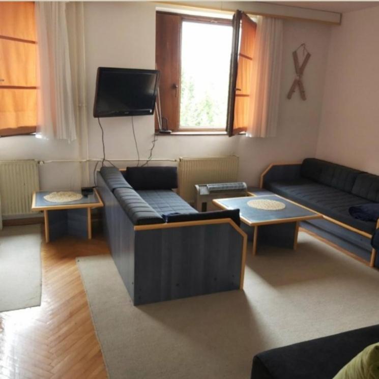 Kopaonik- Vila Ivana - One-Bedroom Apartment - 12