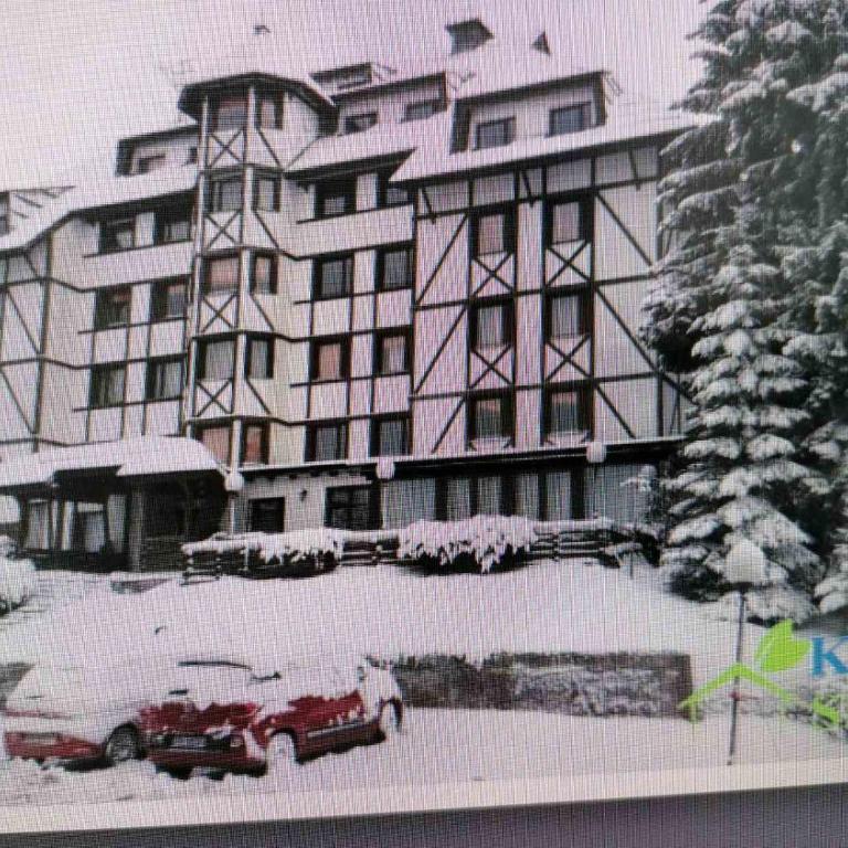 Kopaonik- Vila Ivana - One-Bedroom Apartment - 18